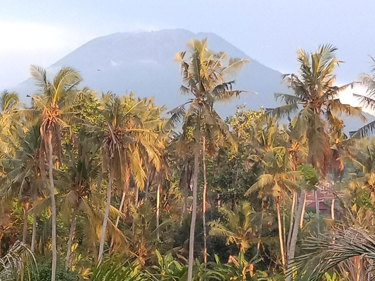 Pondok Diana Arta Jasri Exteriér fotografie