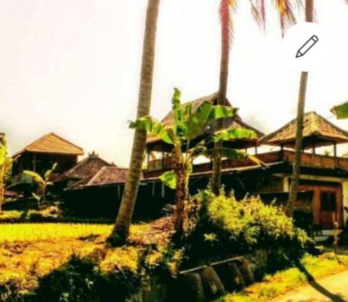 Pondok Diana Arta Jasri Exteriér fotografie